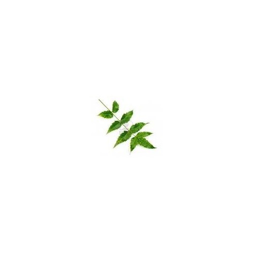 Neem Powder
