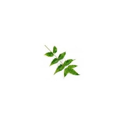 Neem Powder