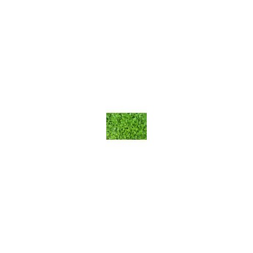 Gotu Kola  Cut (not Powder)